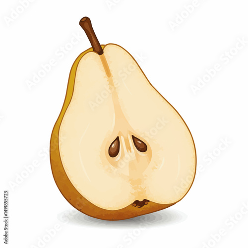 Illustration showing half of pear with brown stem, smooth flesh, and yellow skin