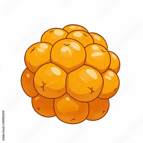 A cluster of plump, orange fruits with thick outlines and soft highlights