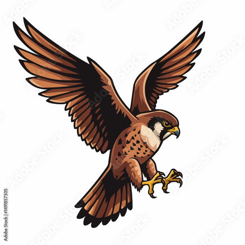 Striking bird with brown and black plumage soars through the sky, wings widely spread