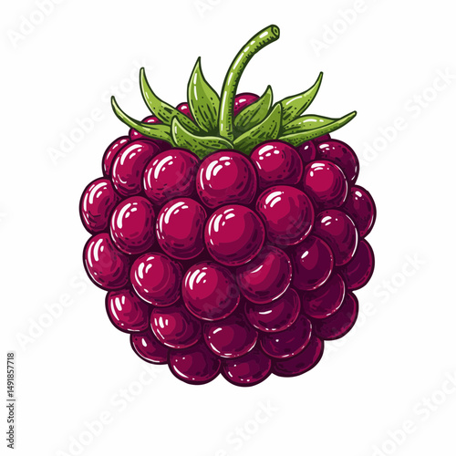 Glossy red raspberry illustration with green leaves, on a white background