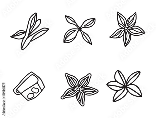hand drawn anise food line art for recipe illustrations