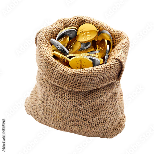 bag with coins