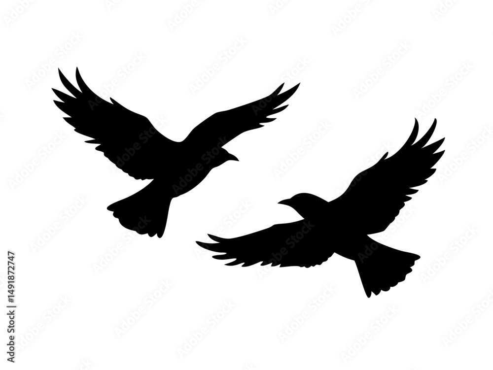 Obraz premium Two Ravens Flying Silhouettes