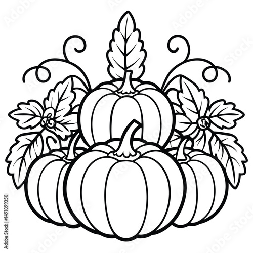 Artistic Black and White Outline of Pumpkins with Leaves and Vines for Fall and Halloween Themes.