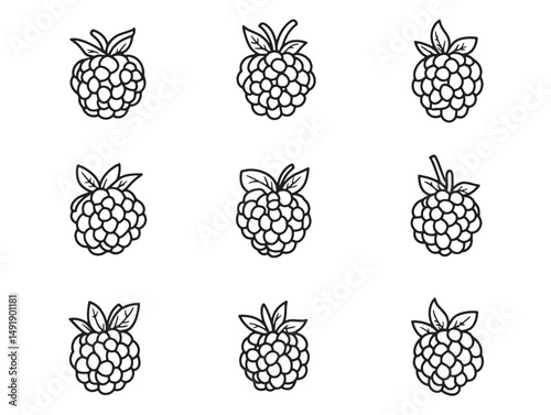 Beautiful berry line art vector for creative designs