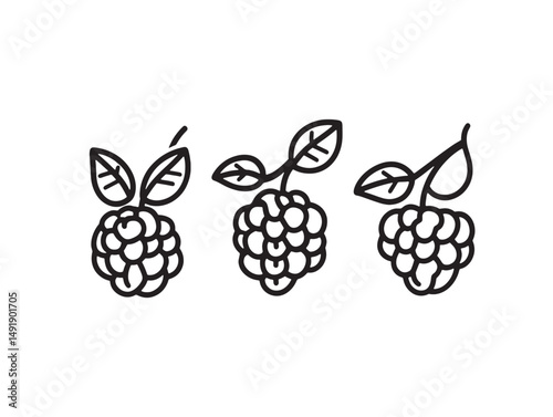 Minimalist berry line art drawing for design use