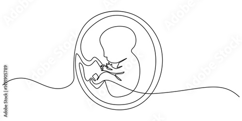 Baby embryo in womb one line drawing. Cute unborn fetus baby on mother womb isolated on white background, Baby embryo in womb in one continuous line drawing. Healthy pregnancy and premature symbol.