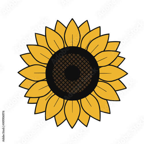 Half sunflower image. Golden petals surround a dark brown seed head