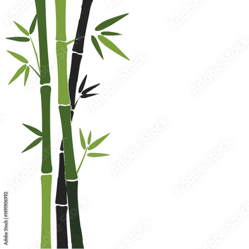 Bamboo stalks and leaves in shades of green and black on a white background