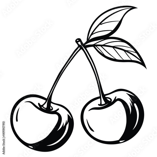 Two Cherries with Leaves Vector Illustration in Black and White for Print and Digital Designs.