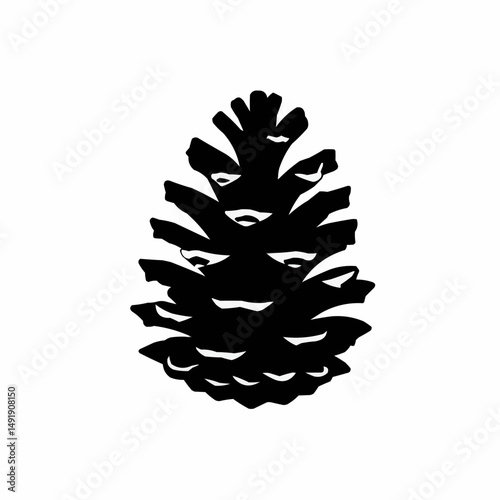High-contrast image of a pinecone, detailed & geometric scales against plain white