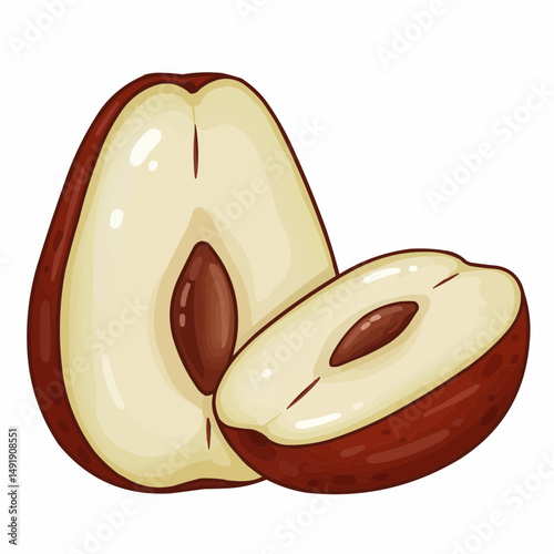 Cartoonish cross-section of a fruit. Creamy flesh and dark brown outer skin visible