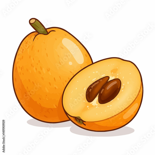 Two cartoon loquats with a slice of fruit, on a white background