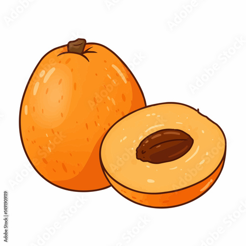 Two stylized orange fruits with dark outline on a white background