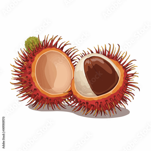 Rambutan arrangement, sliced, with prickly skin, showing fruit, on white background