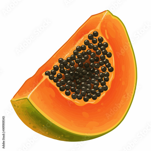 Illustrated slice of vibrant, juicy fruit filled with shiny dark seeds. Slice cut diagonal