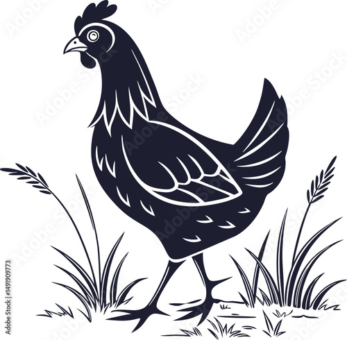 rooster and hen