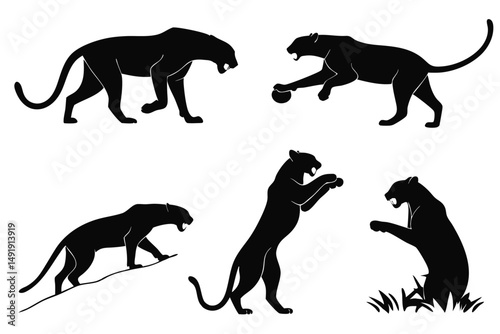 Vector Set of Panther Silhouettes in Different Poses, Representing Wildlife, Feline, and Graphic Design Elements, Isolated on White.