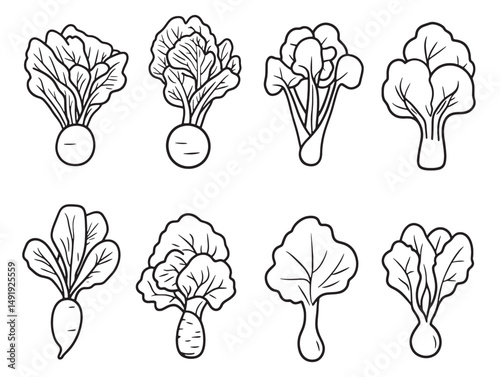 Organic Bok Choy Line Art Vector For Healthy Food Themes