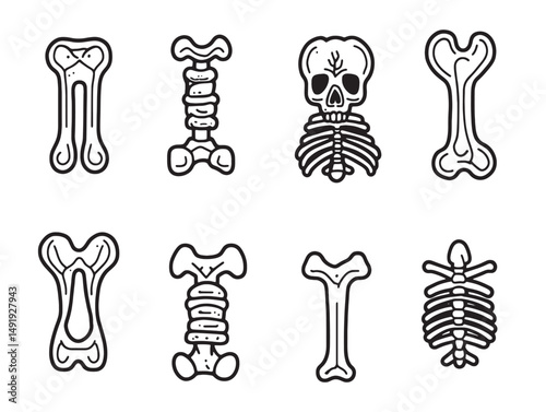 Minimalist bones line art illustration for modern design use