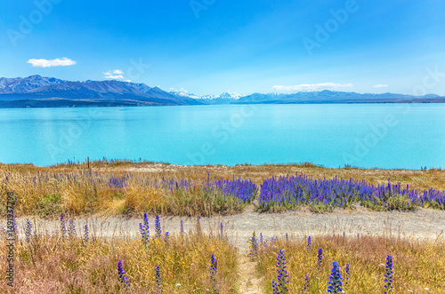 Lake Pukaki with Mount Cook, Canterbury, South Island, New Zealand, Oceania.