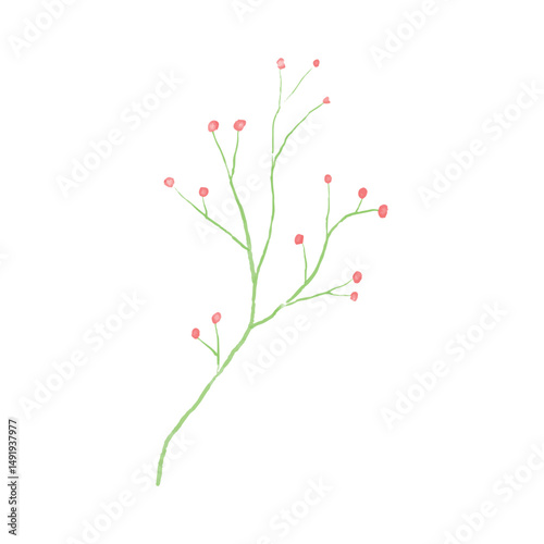 Botanical leaf doodle wildflower line art