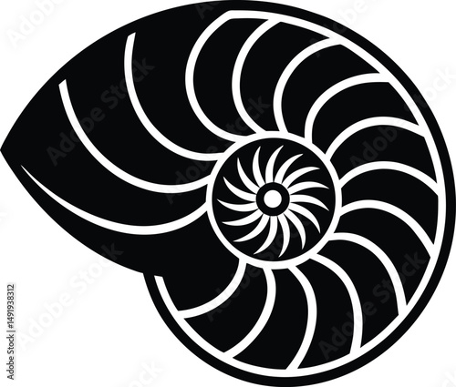 Nautilus Shell Icon Outline Vector illustration
