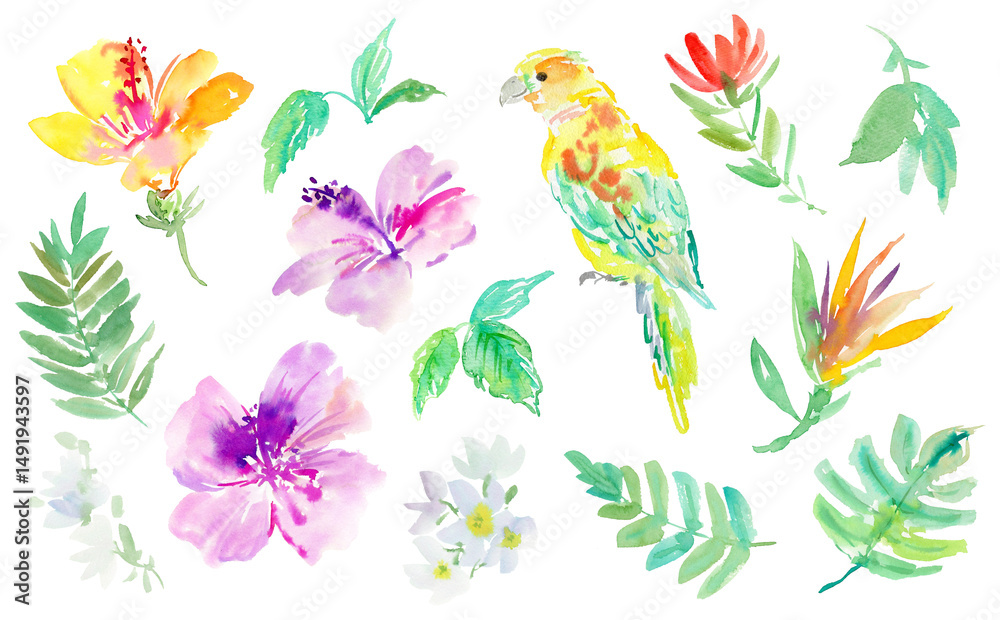 Naklejka premium PNG illustration set of abstract watercolor hibiscus flowers, tropical plants, monstera leaves, and parrots. Hand-painted tropical botanical clipart set with exotic plants and bird.