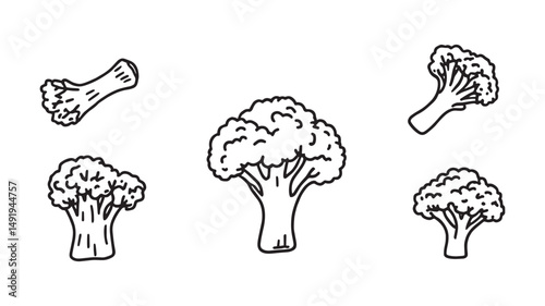 Broccoli line art simple healthy vegetable drawing