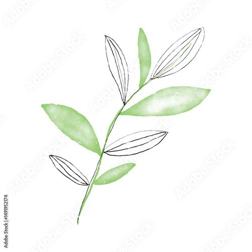 Botanical leaf doodle wildflower line art
