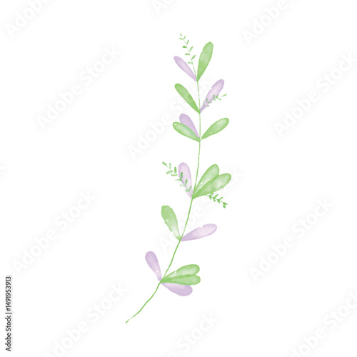 Botanical leaf doodle wildflower line art