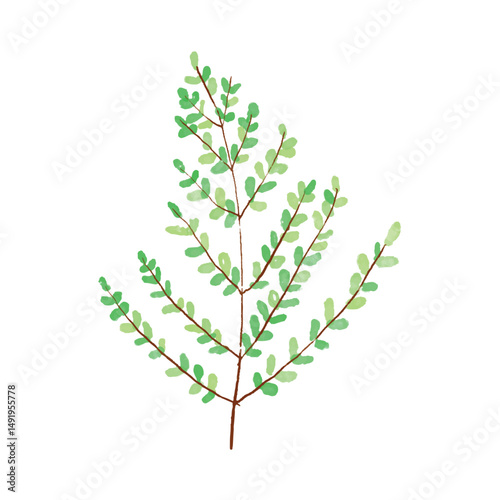 Botanical leaf doodle wildflower line art