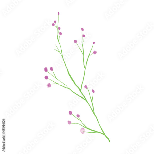 Botanical leaf doodle wildflower line art