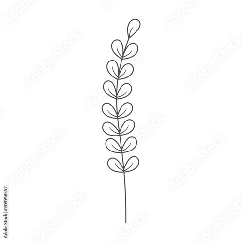 Botanical leaf doodle wildflower line art
