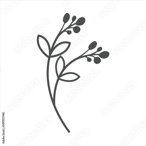 Botanical leaf doodle wildflower line art