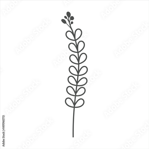 Botanical leaf doodle wildflower line art