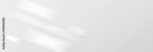 Sunlight on light wall, gentle shadow from windows on gray wall. Minimal light gray background for product presentation, vector png graphics. Sunny daylight background.
