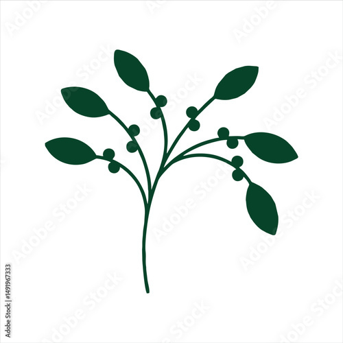 Botanical leaf doodle wildflower line art