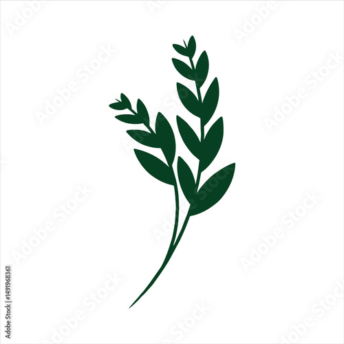 Botanical leaf doodle wildflower line art