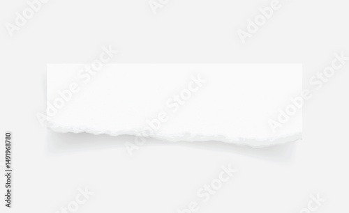 Torn paper edges. Ripped paper texture. Paper tag. White paper sheet for background. Vector illustration.