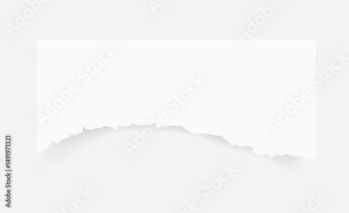 Torn paper edges. Ripped paper texture. Paper tag. White paper sheet for background. Vector illustration.