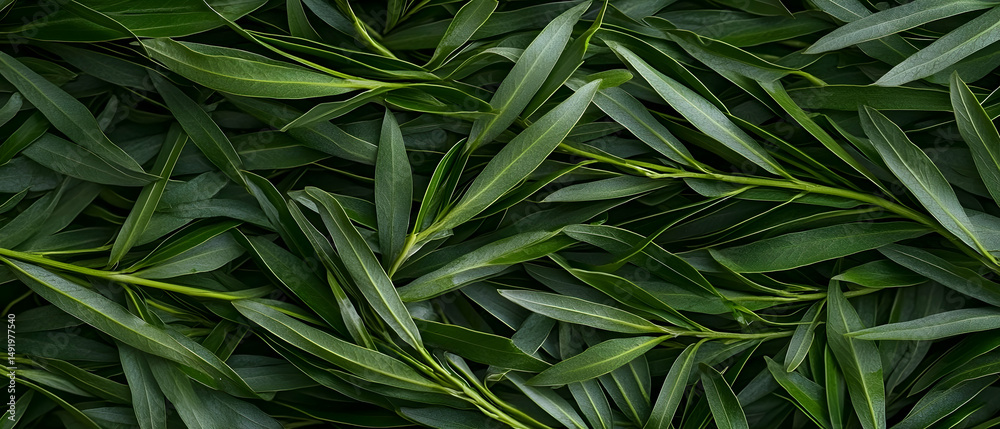 Fototapeta premium Closeup View Of Green Leaves Pattern