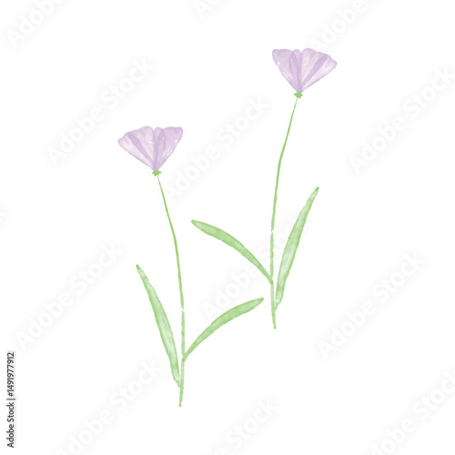 Botanical leaf doodle wildflower line art