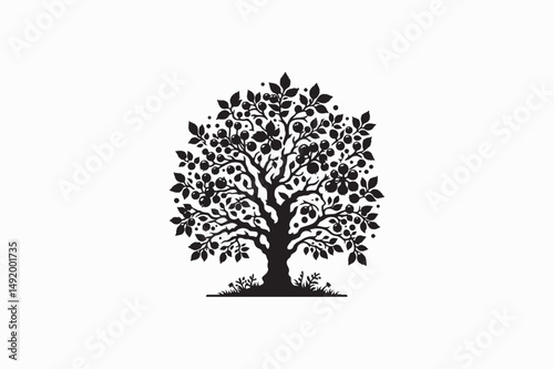 A Hawthorn tree vector silhouettes image made by adobe illustrator. eps
