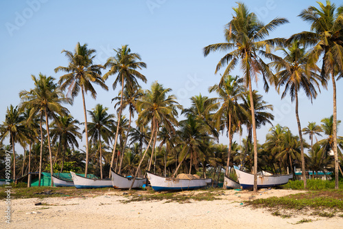 Fototapeta Naklejka Na Ścianę i Meble -  Boats on Colva beach Goa, South India, palm trees on tropical island, west coast, Arabian Sea in Asia, travel destination