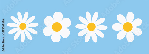 A collection of white chamomile and daisy flower vector illustrations in different styles. This set features cute round flower heads and abstract organic petal design. Camomile flower icon set.
