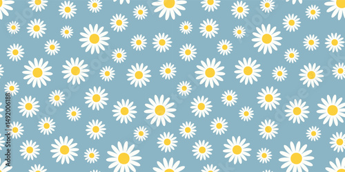 Daisy flower seamless pattern on a blue background. White chamomile floral pattern vector. Meadow botanical repeat pattern design for fabric, wallpaper, decorative prints, wrapping paper, and more.