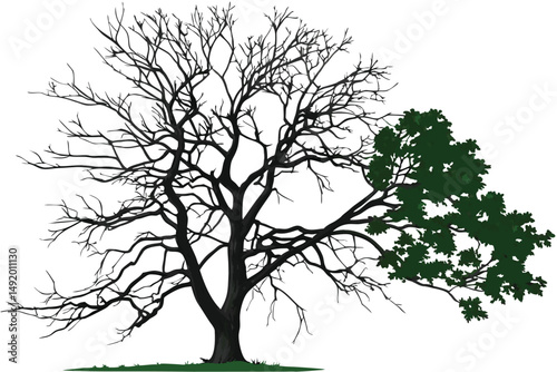 25 photo of a tree with leafless branches on one side and lush green leaves on the other side, photo manipulation, highly detailed, realistic, 4k