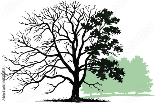 25 photo of a tree with leafless branches on one side and lush green leaves on the other side, photo manipulation, highly detailed, realistic, 4k