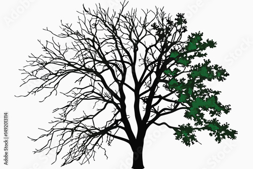 25 photo of a tree with leafless branches on one side and lush green leaves on the other side, photo manipulation, highly detailed, realistic, 4k
